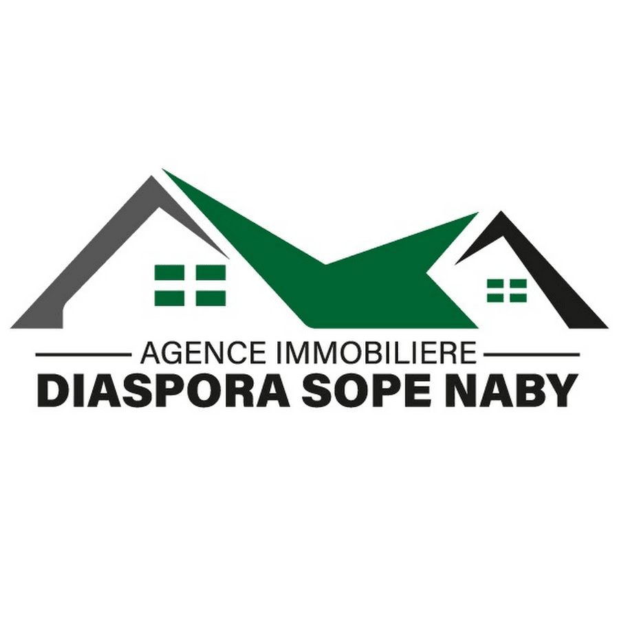 Diaspora Sopé Naby Logo